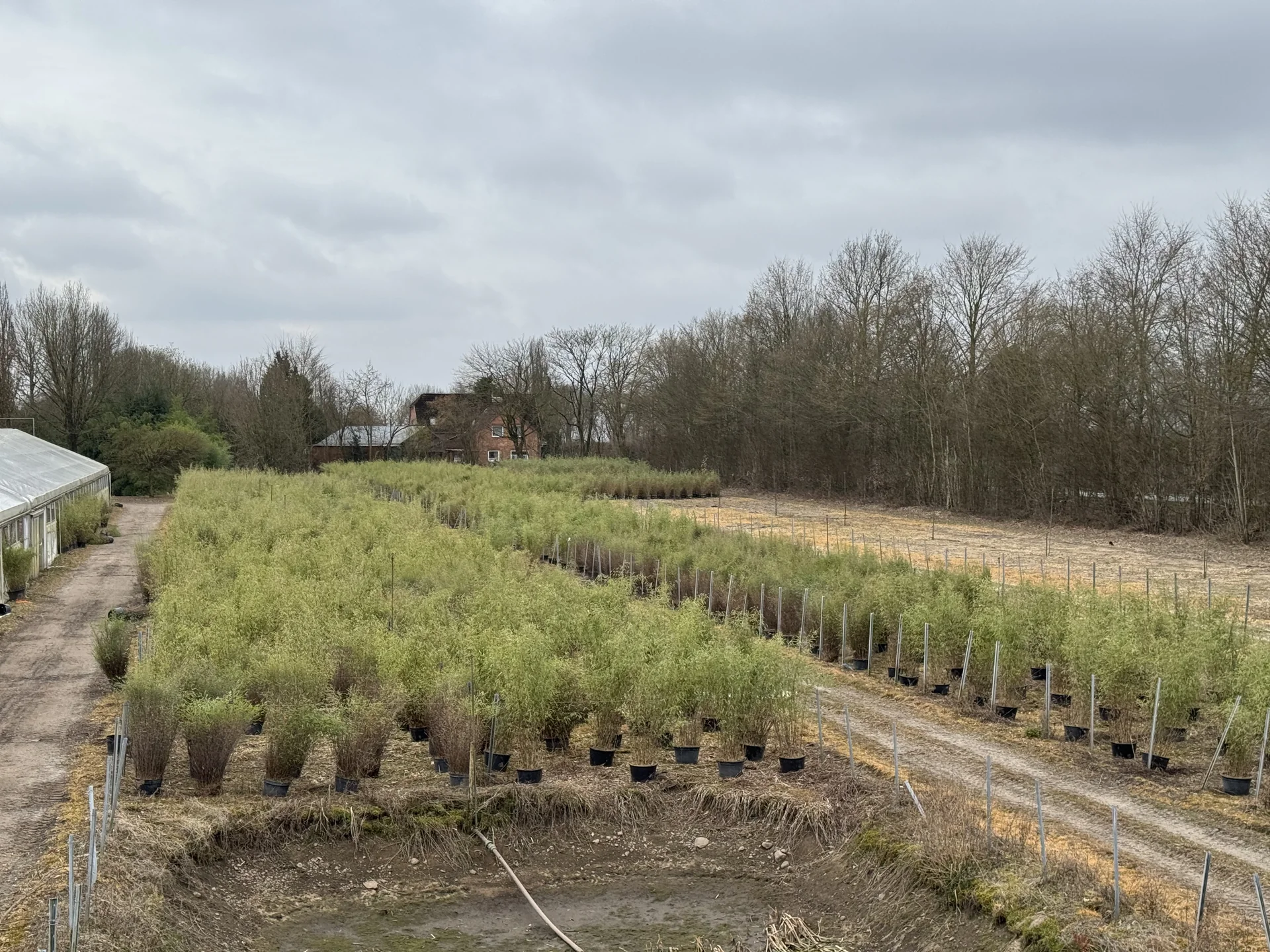 Baumschule Schneede – Großhandel